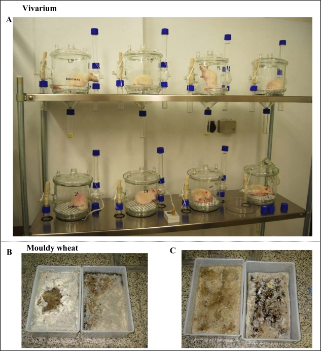 Figure 3.