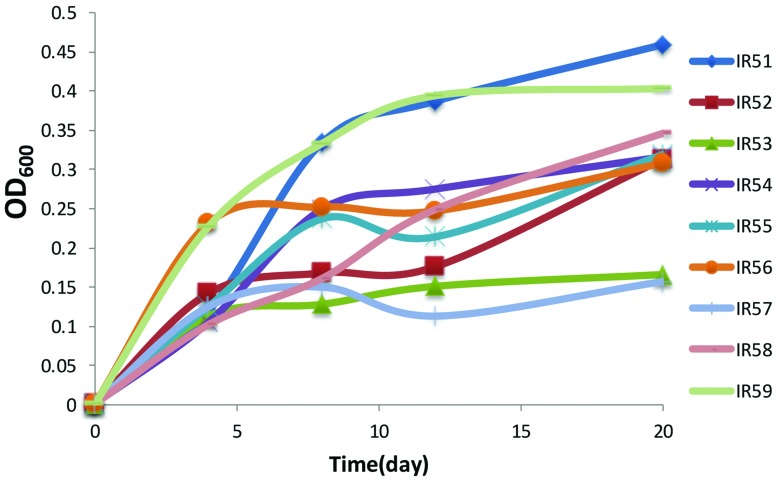 FIGURE 1