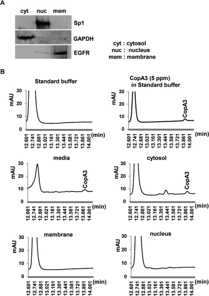 FIGURE 9.