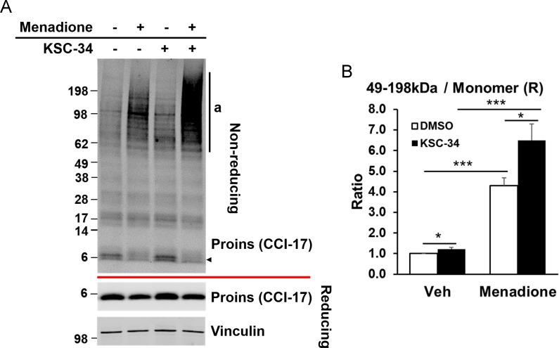 Figure 6—figure supplement 1.