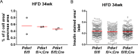 Figure 3—figure supplement 1.