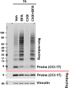 Figure 5—figure supplement 2.