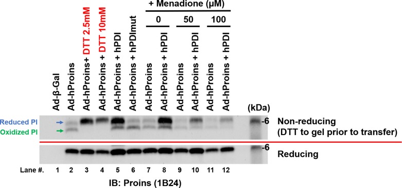 Figure 5—figure supplement 3.