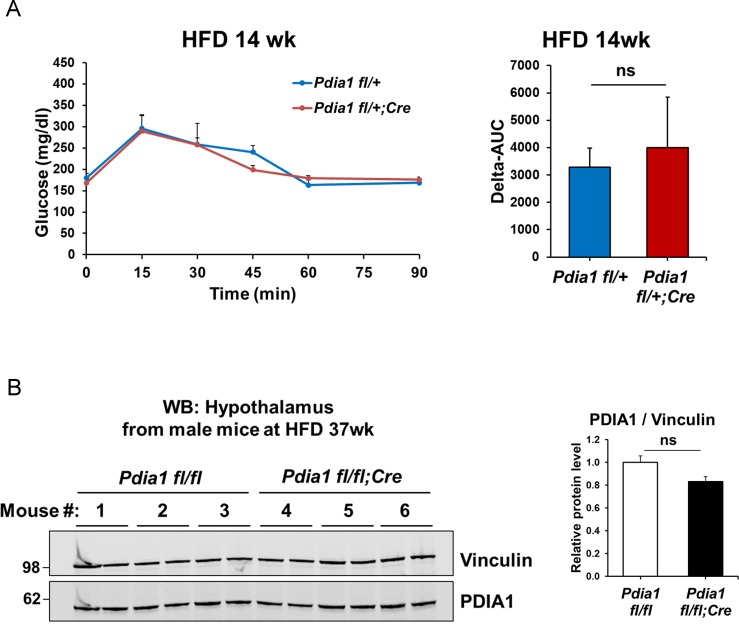 Figure 1—figure supplement 1.