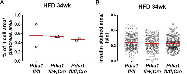 Figure 3—figure supplement 1.