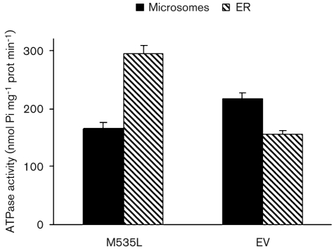 Fig. 6.