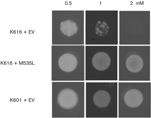 Fig. 4.