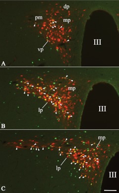 Fig. 4.