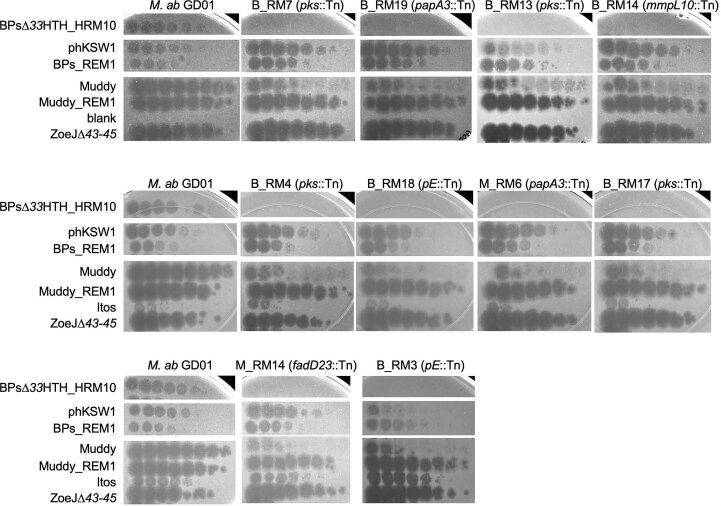 Extended Data Fig. 1