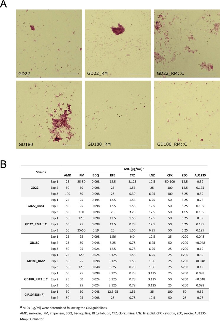 Extended Data Fig. 3