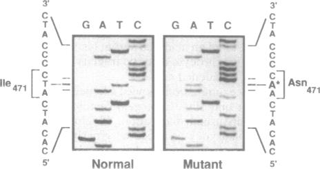 graphic file with name pnas01083-0370-a.jpg