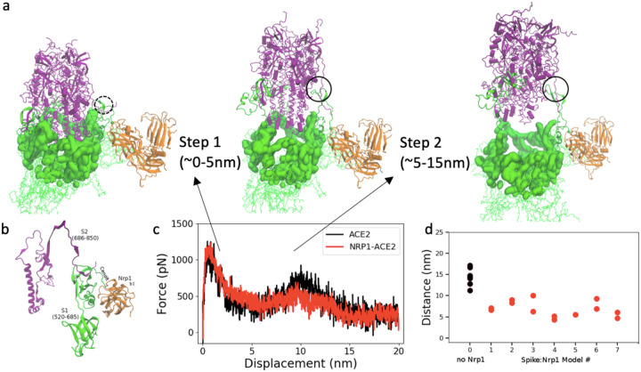 Figure 4: