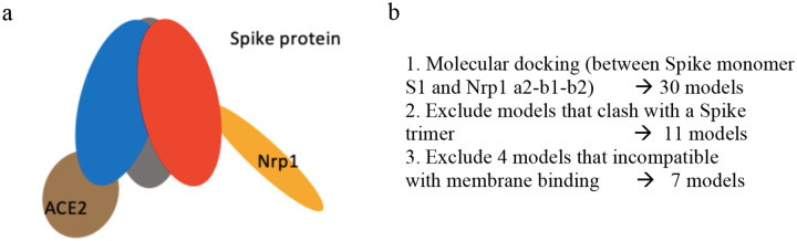 Figure 1: