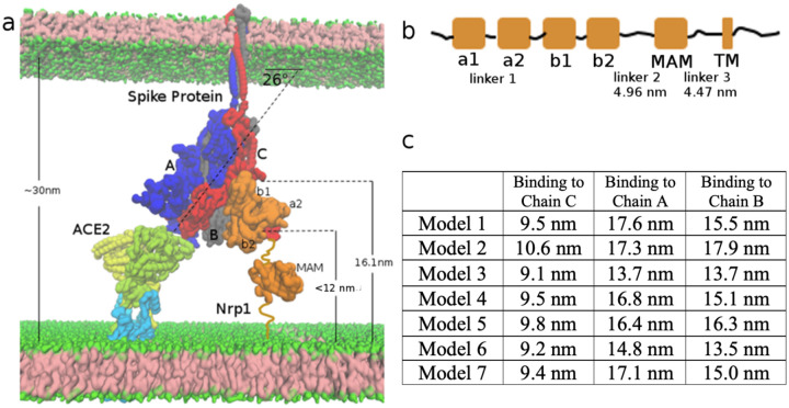 Figure 5: