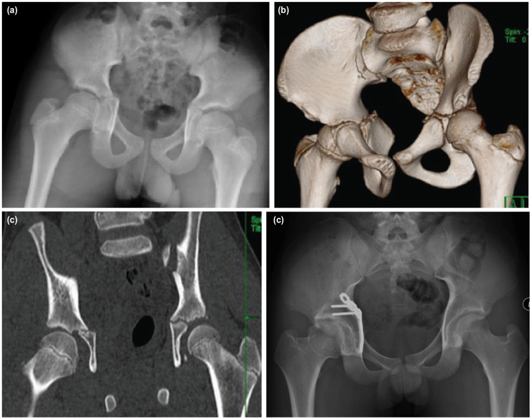 Fig. 2: