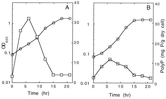 FIG. 5