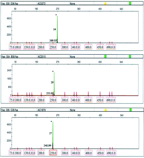 FIG. 2.