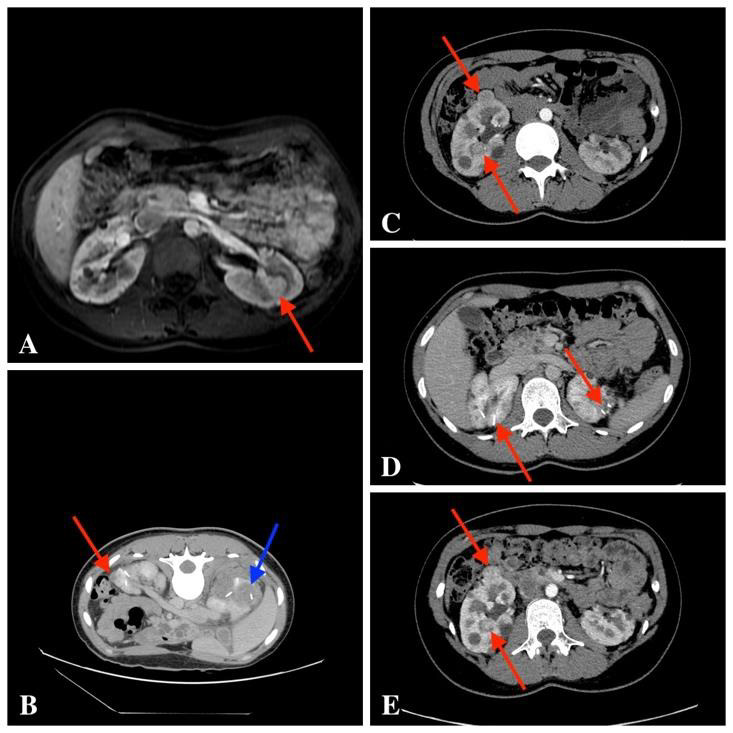 Fig. 1.