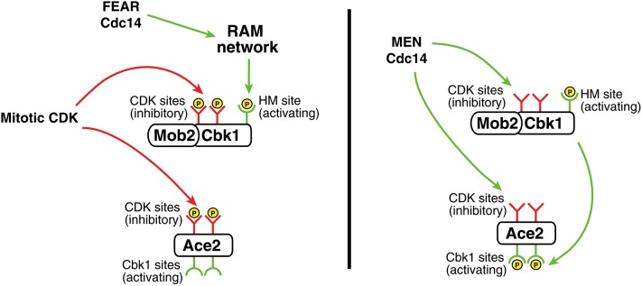 Figure 15 