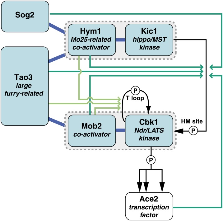 Figure 14 