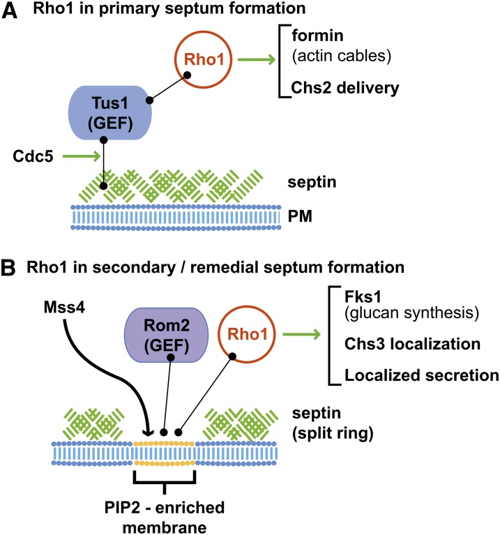 Figure 3 