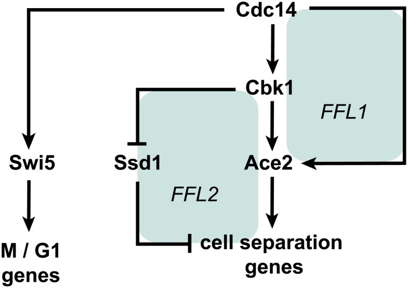 Figure 20 