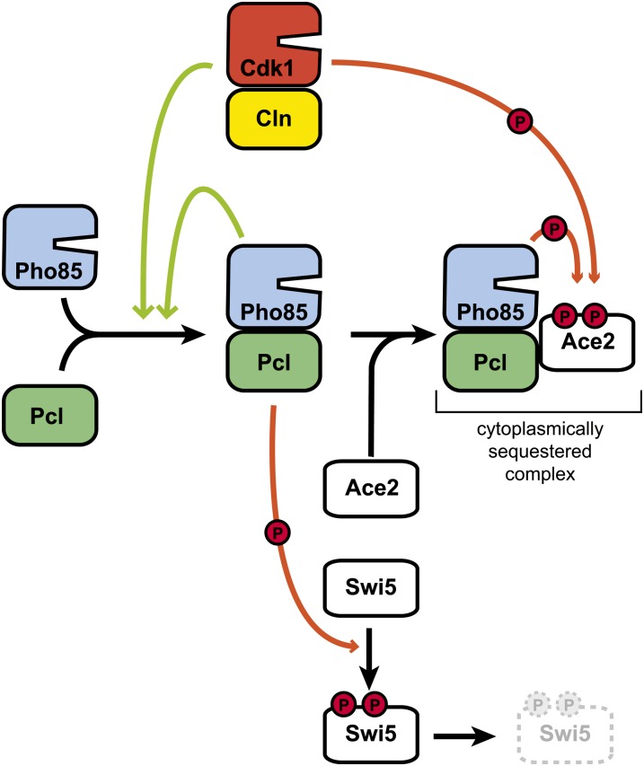 Figure 18 