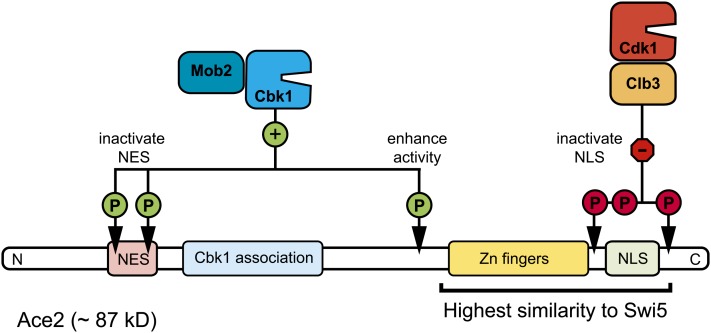 Figure 17 