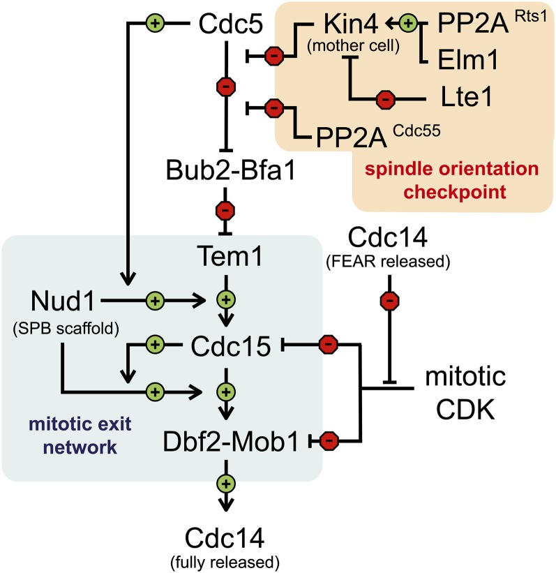 Figure 11 