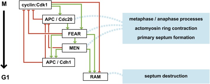 Figure 6 