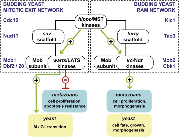 Figure 7 