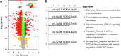 <b>FIG. 3.</b>