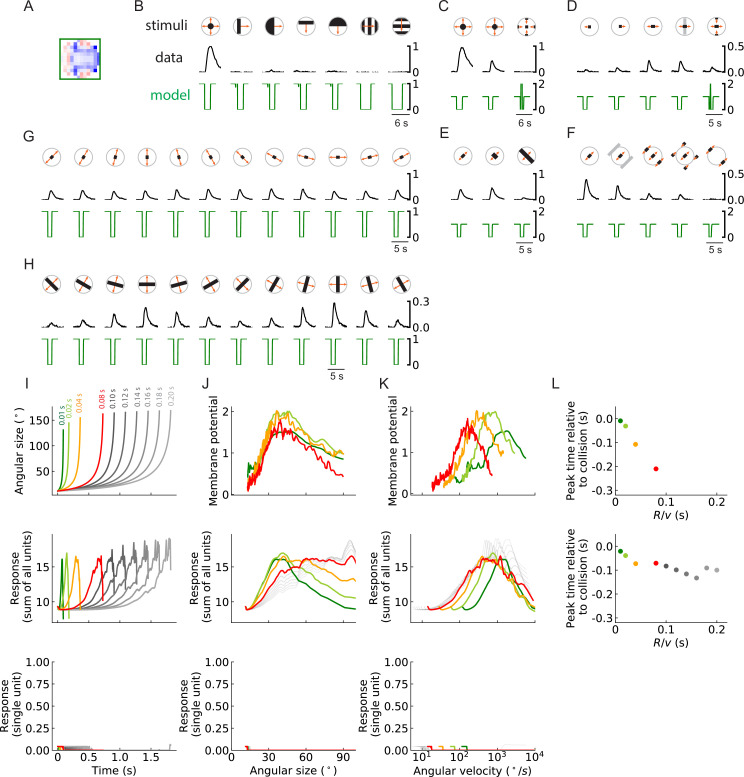 Figure 10—figure supplement 1.