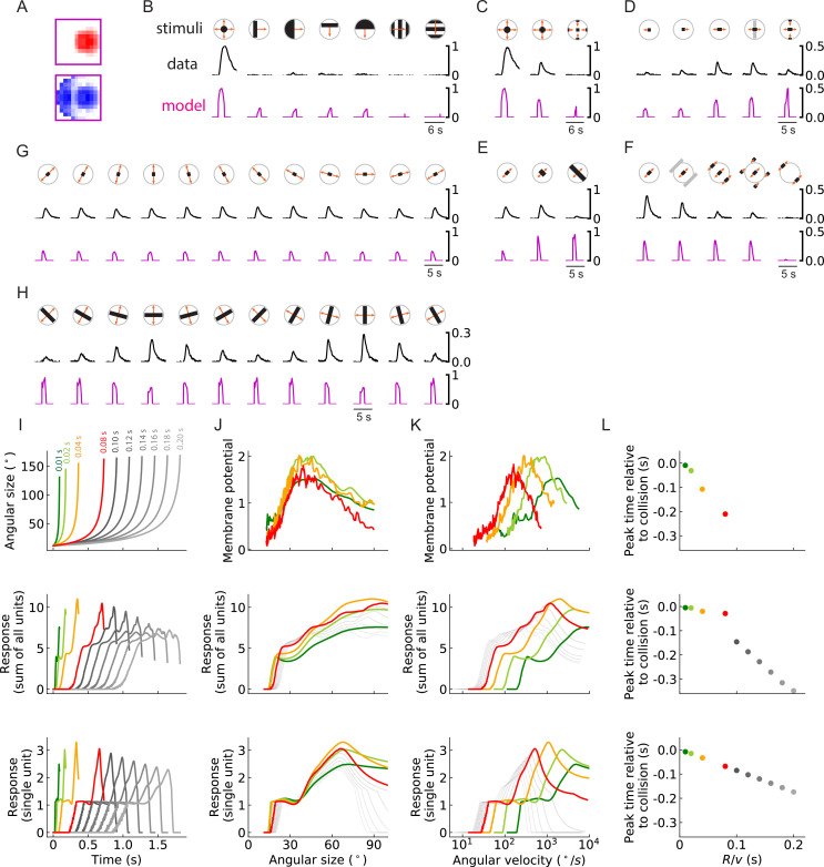 Figure 10—figure supplement 3.