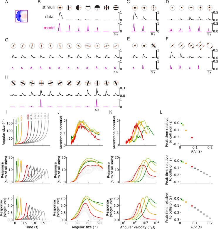 Figure 10.