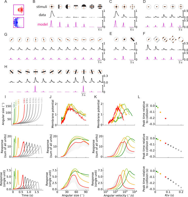 Figure 10—figure supplement 2.