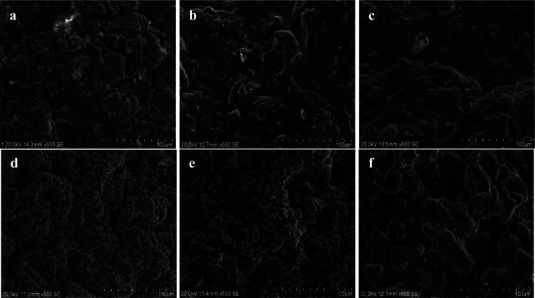 Fig. 14