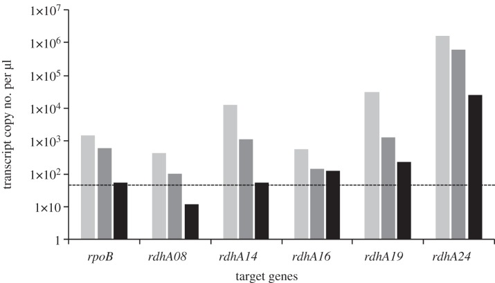 Figure 5.