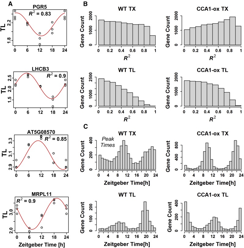 Figure 3.