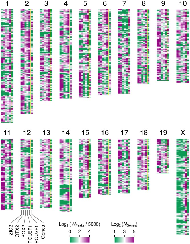 Fig. 3.