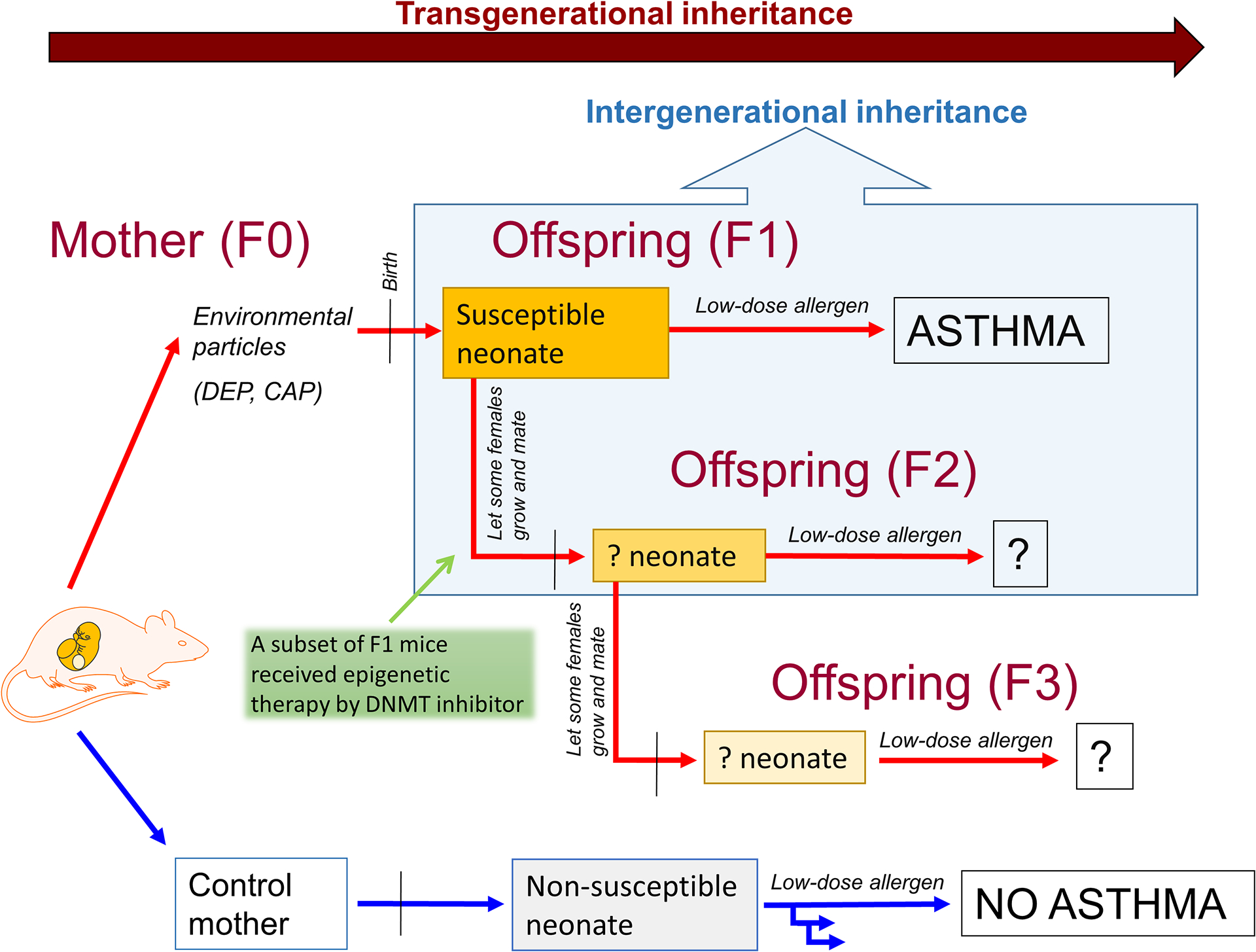 Figure 1: