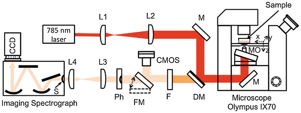 Fig. 1