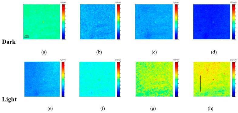 Figure 14