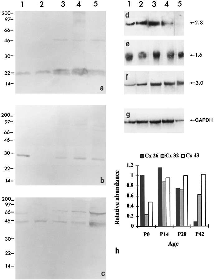 Fig. 9.