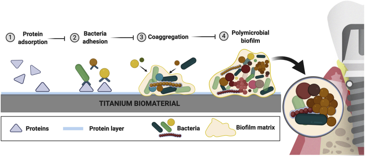 Figure 2