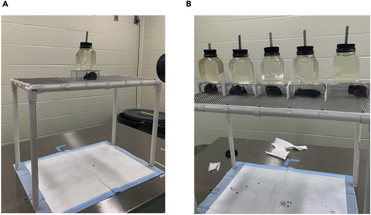 Figure 1