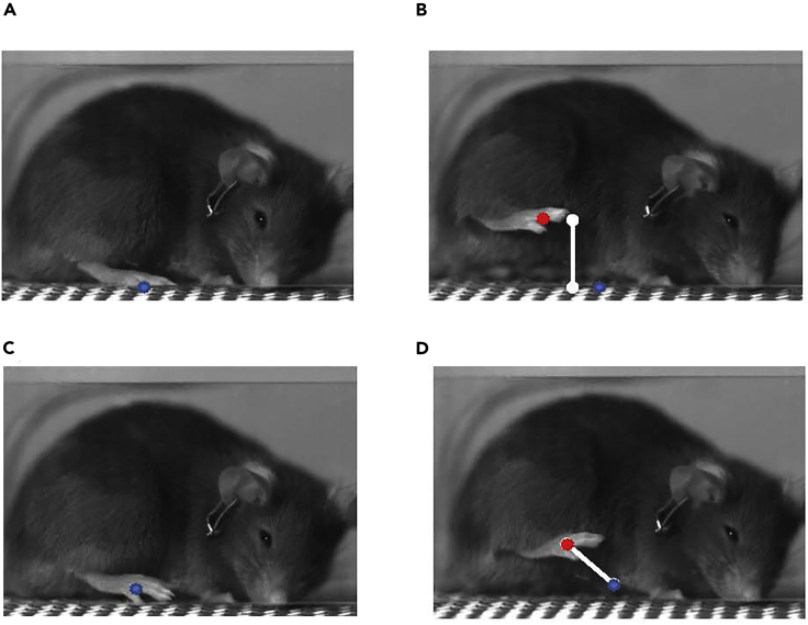 Figure 3