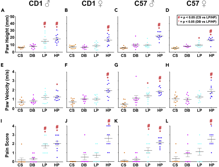 Figure 4