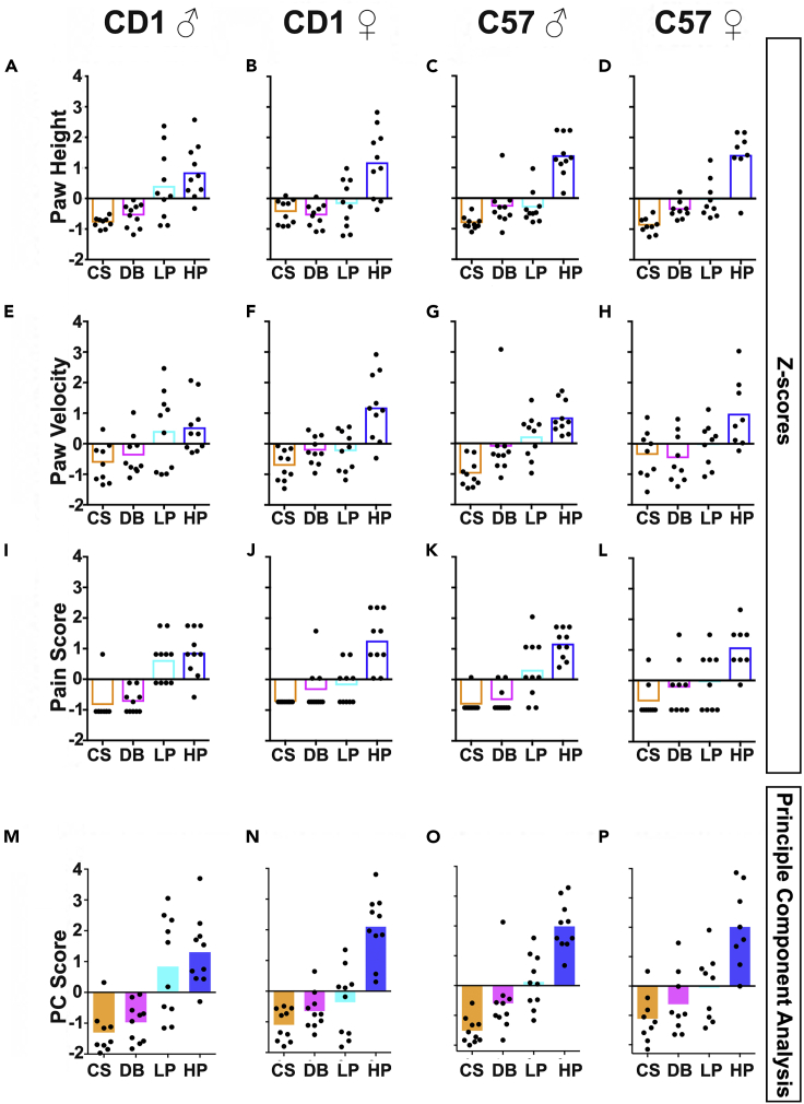 Figure 5