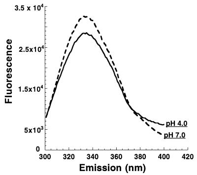 FIG. 5